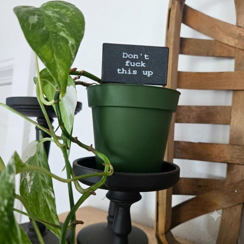 Sarcastic Plant Stakes Set of 10 – Funny 3D Printed Plant Markers