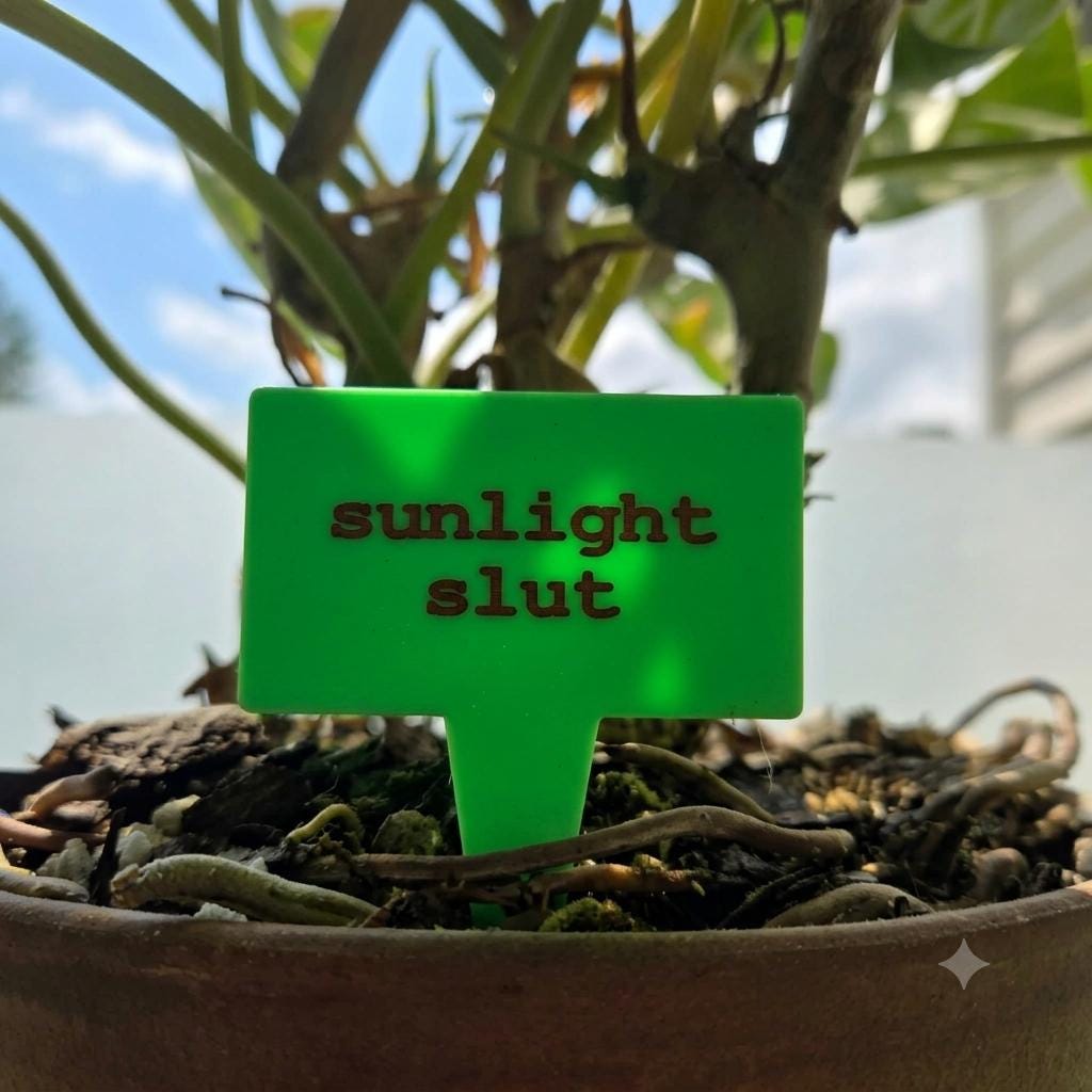 Sarcastic Plant Stakes Set of 10 – Funny 3D Printed Plant Markers