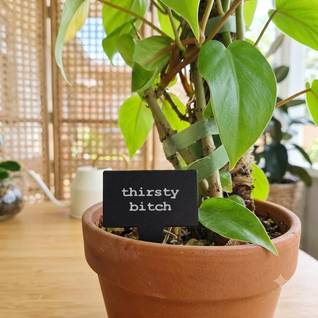 Sarcastic Plant Stakes Set of 10 – Funny 3D Printed Plant Markers