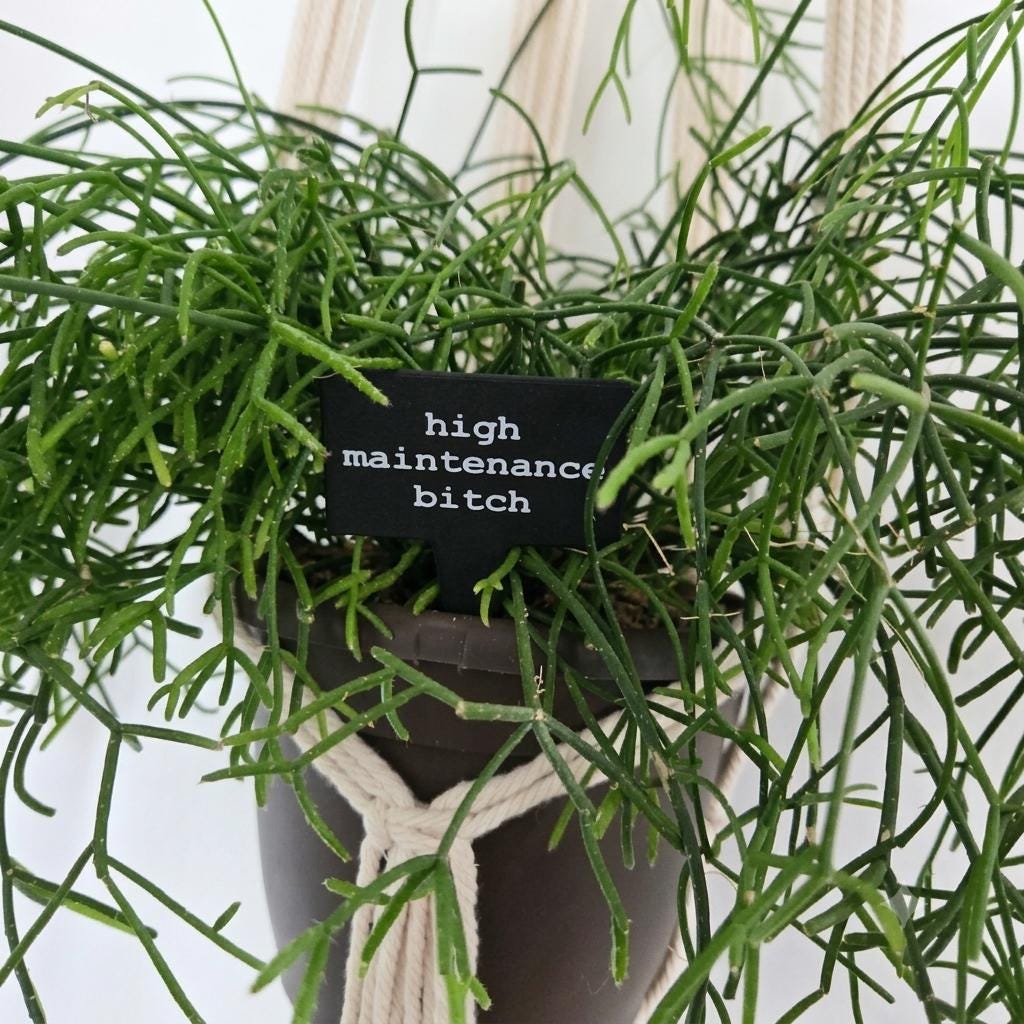 Sarcastic Plant Stakes Set of 10 – Funny 3D Printed Plant Markers